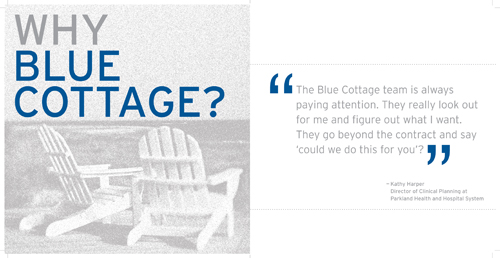 Blue Cottage Consulting