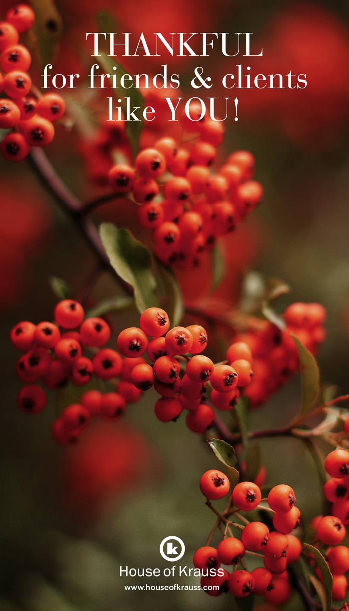 HOK Facebook Feed Banner Thanksgiving