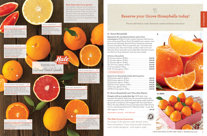 Hale Groves Catalog Design