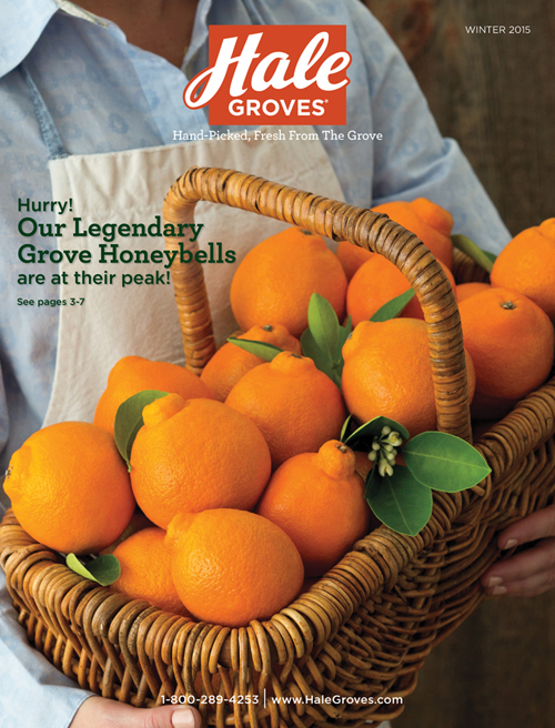 Hale Groves Catalog Design